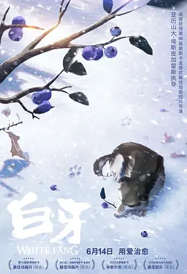 91蝌蚪在线视频